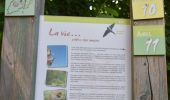 Tour Wandern Aubel - 20220620 - Aubel 7.2 Km - Photo 4