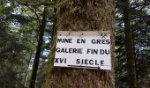 Randonnée Marche Lepuix - Giromagny - sentier des mines - 2 à visiter - Photo 9