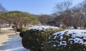 Tocht Stappen Unknown - Changdeokgung palace - Photo 10