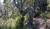 Randonnée Marche Pierrefeu-du-Var - Portanière - Beguin - Sauvecanne - Cogolins - Cabane des gardes - Fontaine Pétou - Les Davids - Photo 14