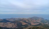 Trail Walking Collioure - madeloc depuis col de la serra, via col de villauria, batterie 500, retour  - Photo 8