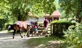 Trail Walking Auderghem - Oudergem - Rouge-Cloître & Jardin Massart - Photo 2