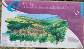 Tour Wandern Sainte-Croix-en-Jarez - Saint Croix en Jarrez - Photo 8