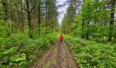 Tour Wandern Philippeville - Balade à Omezée - Photo 10