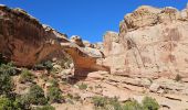 Tocht Stappen Unknown - 2024 Capitol Reef Hickman Bridge - Photo 8