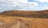 Trail Walking Saint-Paul - Boucle dans la Savane depuis le cap de la Houssaye - Photo 1