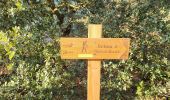 Trail Walking Laure-Minervois - Oui mon Capitelle ! 4 niveaux possibles - Photo 10