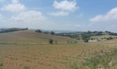 Tour Wandern Carcassonne - CC_Piemont_BA_06_Carcassonne_Montreal_20240617 - Photo 3