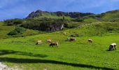 Trail Walking Untertauern - Seekarspitze - Photo 5