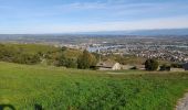 Trail Walking Tournon-sur-Rhône - Tournon chemin St Joseph - belvédère de Pierre - Photo 3