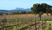 Trail Walking Pierrefeu-du-Var - SityTrail - cabane des gardes-Pierrefeu-25-02-22 - Photo 3