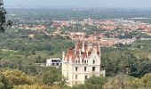 Tour Wandern Argelès-sur-Mer - Valmy tour massagne  - Photo 1