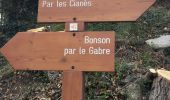 Randonnée Marche Levens - Bonson - Photo 2