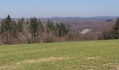 Trail Walking Anhée - Maredsous 040322 - Photo 5