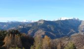 Excursión A pie Beuil - Tête du Garnier - Photo 2