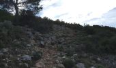 Trail Walking Torroella de Montgrí - Estartit - Photo 19