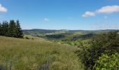 Tour Rennrad Langogne - NAUSSAC - COL DE LA PIERRE PLANTEE - Photo 6