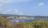 Tour Wandern La Trinité - cosmy- anse Richer-anse Lahoussaye-Etoile- anse Azerot-Cosmy - Photo 11