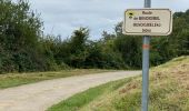 Tocht Stappen Jaxu - Du camping Borda Lodge - Jaxu - Photo 2