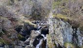 Trail Walking Revel - Lac du Crozet - Photo 12
