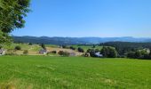 Trail Walking Orbey - Circuit des 2 lacs : lac du Forlet et lac Vert - Photo 1