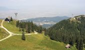 Randonnée A pied Brașov - Timișu de Jos - Cabana Postăvaru/Julius Romer - Brașov - Photo 4