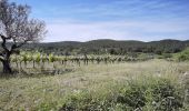 Percorso Marcia Correns - Correns_le plateau de Merindol - Photo 2