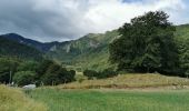 Tocht Stappen Chambon-sur-Lac - vallée de chaudefour et les cascades  - Photo 9