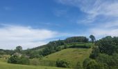 Tour Wandern Bastnach - rando lutrebois 2-06-2022 - Photo 2