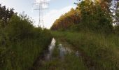 Randonnée A pied Möhrendorf - Wanderweg Dechsendorfer Weiher - Bhf Bubenreuth - Photo 1