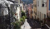 Tocht Stappen Banyuls-sur-Mer - Découverte de Banyuls  - Photo 12