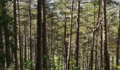 Randonnée Marche Fozières - Fozières col de la Melanque - Photo 1