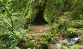 Trail Walking Urmatt - Lutzelhouse - sentier des géants - Photo 6