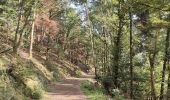 Tour Wandern Steinbach - Cascade de Erzenbach - Photo 5