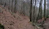 Trail Walking Neupré - Roche aux Faucons - Boucle de l'Ourthe  - Photo 9