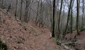 Percorso Marcia Neupré - Roche aux Faucons - Boucle de l'Ourthe  - Photo 9