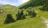 Tour Wandern Lus-la-Croix-Haute - Col de Chante - Jajere Lus la Croix Haute - Photo 1