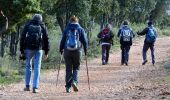 Trail Walking Rocbaron - SityTrail - rocbaron   victor - Photo 11