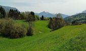 Trail Walking Entremont-le-Vieux - col du mollard et des fontanettes - Photo 2