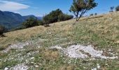 Excursión Senderismo Noyers-sur-Jabron - la Pellegrine - Photo 2