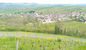 Tour Wandern Jussy - Jussy Age d'Or 23042023 - Photo 3