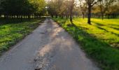 Tocht Mountainbike Vinay - Vinay-variante plateau de la Blache (par Bressot et Faye)  - Photo 4