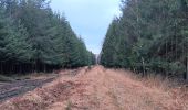 Trail Walking Aywaille - sedoz - vert-buisson (via ninglinspo) - porallée - vieux chera - sedoz - Photo 4