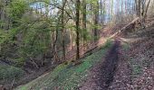 Tour Wandern Esneux - mery . nomont . roche aux faucons . ourthe  - Photo 6