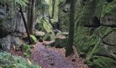 Trail Walking Echternach - Mullerthal E1 - Photo 15