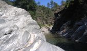 Excursión A pie Saint-Étienne-Vallée-Française - Sentier d'Auriol - Photo 4