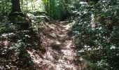 Trail Walking Namur - Bois marche les dames et abbaye - Photo 2