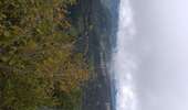 Trail Walking Septmoncel les Molunes - clavières (haut jura) - Photo 16