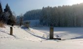 Tocht Te voet Buchenberg - CvL Planetenweg - Photo 1