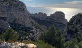 Tocht Stappen Marseille - Les calanques  - Photo 7